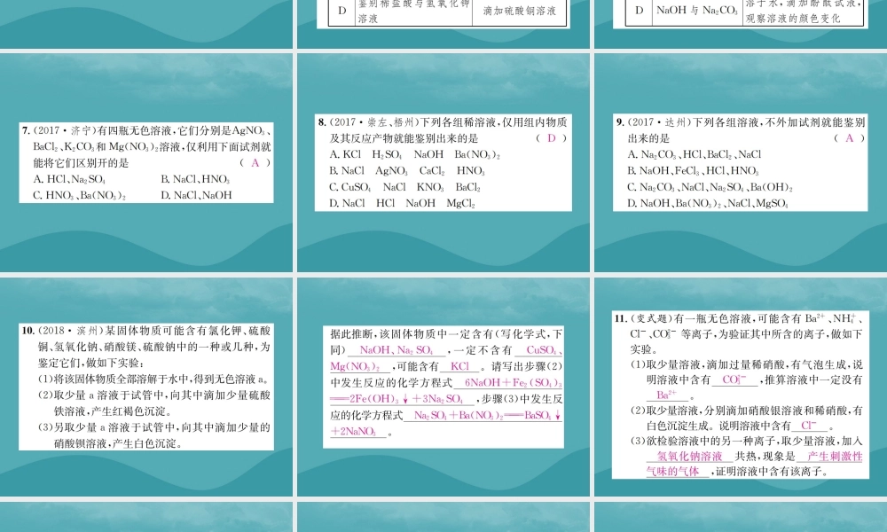 中考化学复习 滚动小专题(五)物质的检验、鉴别、共存与除杂课件 鲁教版 课件