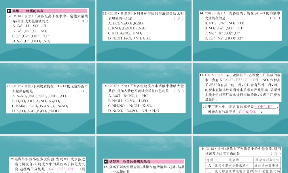 中考化学复习 滚动小专题(五)物质的检验、鉴别、共存与除杂课件 鲁教版 课件