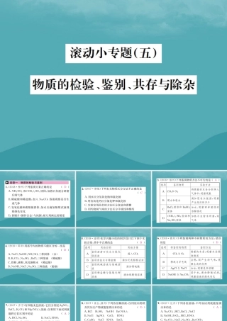 中考化学复习 滚动小专题(五)物质的检验、鉴别、共存与除杂课件 鲁教版 课件