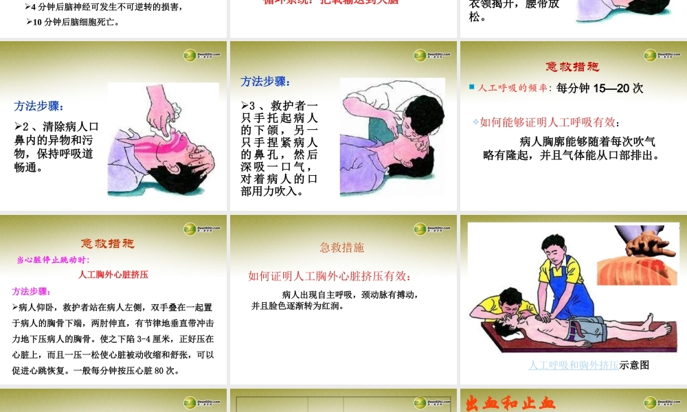 八年级生物下册 第五章 急救常识配套课件 鲁科版 课件