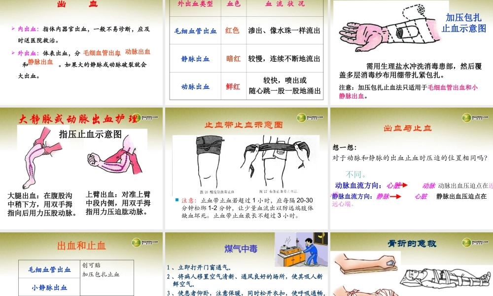 八年级生物下册 第五章 急救常识配套课件 鲁科版 课件