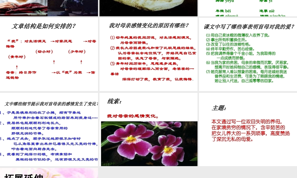 八年级语文(小巷深处)课件沪教版 课件