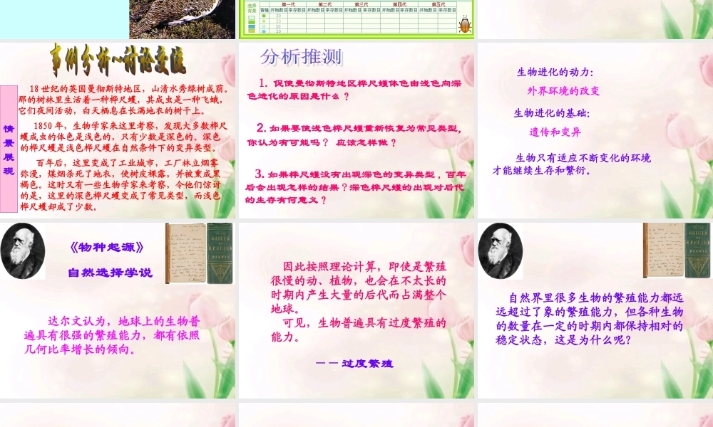 八年级生物下册 生物进化的原因课件 人教新课标版 课件