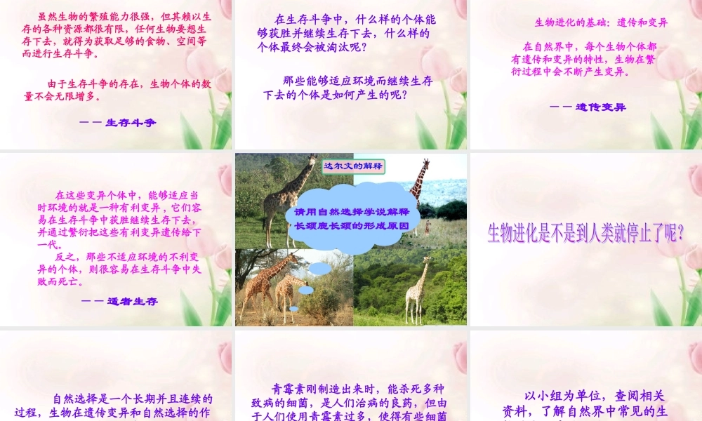 八年级生物下册 生物进化的原因课件 人教新课标版 课件