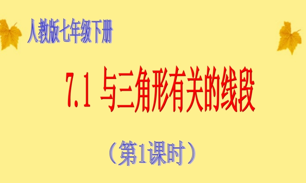 七年级数学下册 7.1 与三角形有关的线段(第1课时)课件 人教新课标版 课件