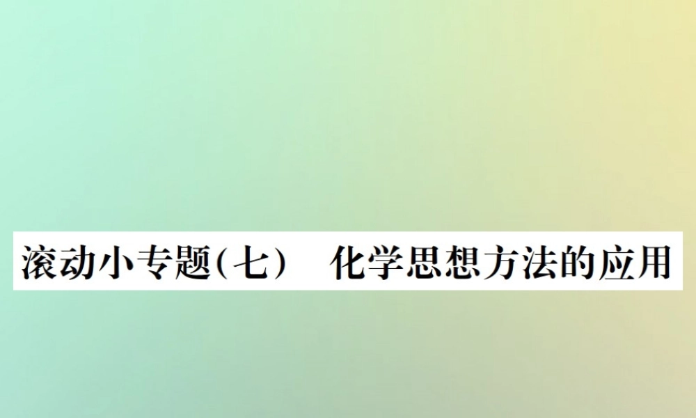 中考化学复习 滚动小专题(七)化学思想方法的应用课件