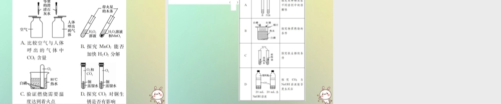中考化学复习 滚动小专题(七)化学思想方法的应用课件