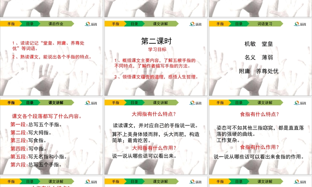 《手指》教学课件 (3)