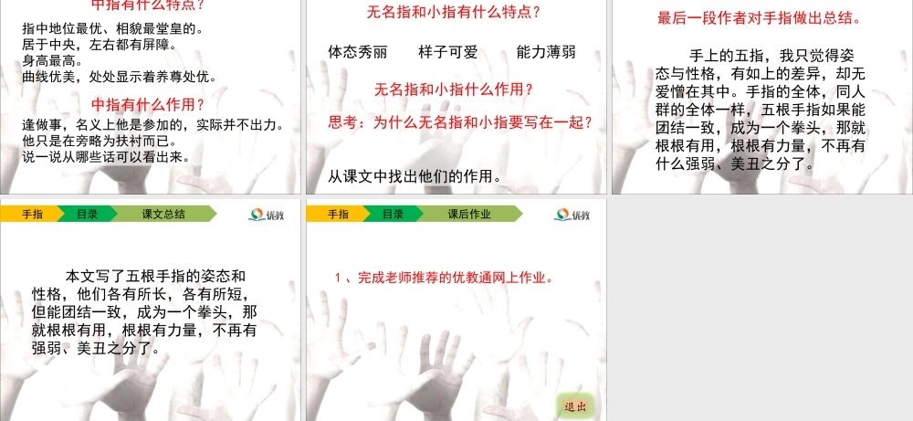 《手指》教学课件 (3)