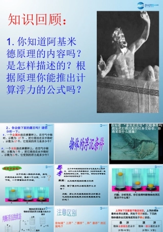 八年级科学上册 物体的浮沉条件课件 浙教版 课件