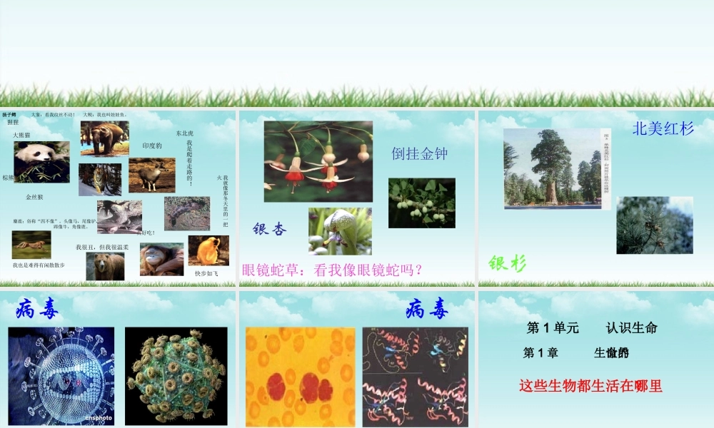 七年级生物上册 1.2生物与环境的相互影响课件 北师大版 课件