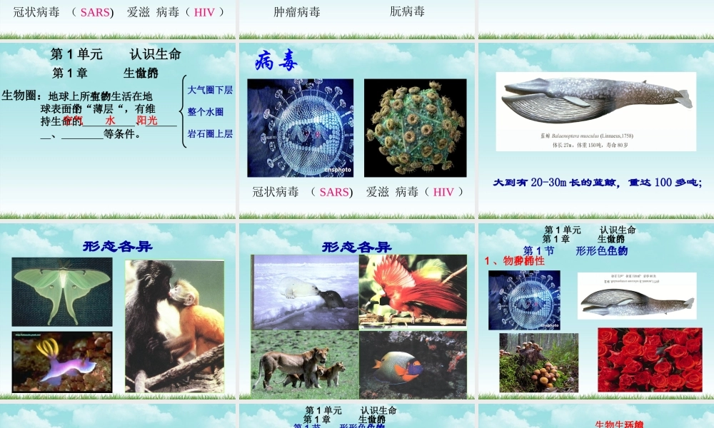 七年级生物上册 1.2生物与环境的相互影响课件 北师大版 课件