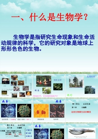七年级生物上册 1.2生物与环境的相互影响课件 北师大版 课件