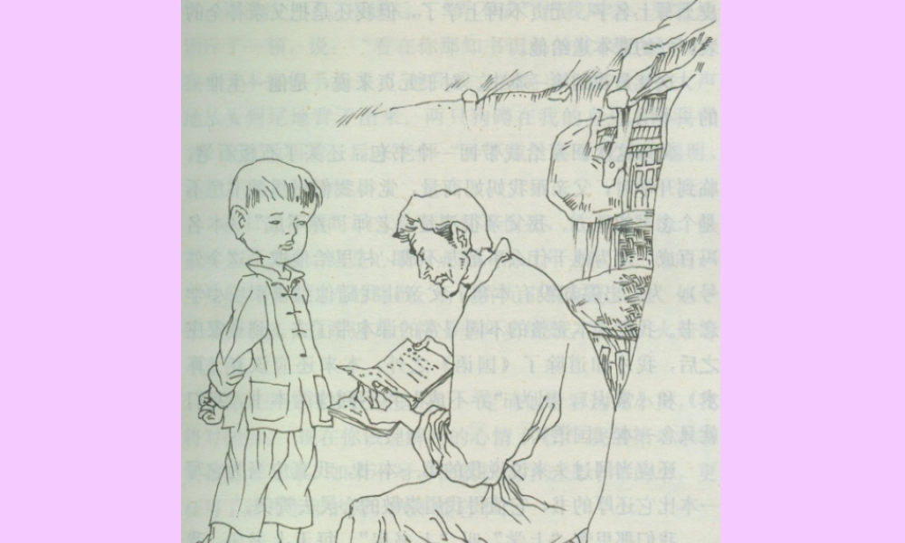 我的第一本书 八年级语文我的第一本书课件(含flash)人教版 八年级语文我的第一本书课件(含flash)人教版