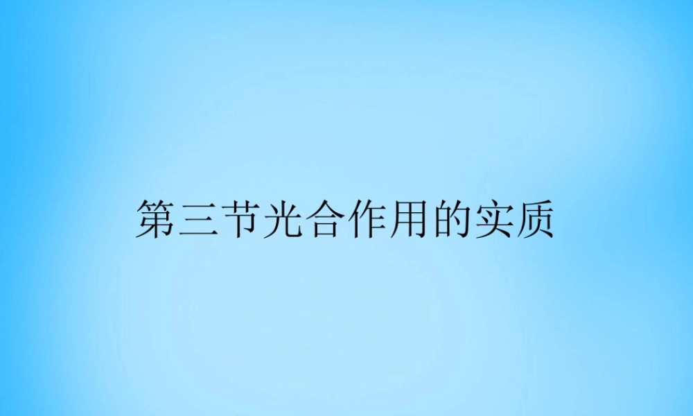 中学七年级生物上册 第6章 第3节 植物光合作用的实质课件2 苏教版 课件