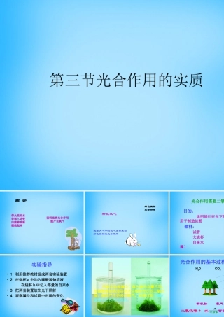 中学七年级生物上册 第6章 第3节 植物光合作用的实质课件2 苏教版 课件