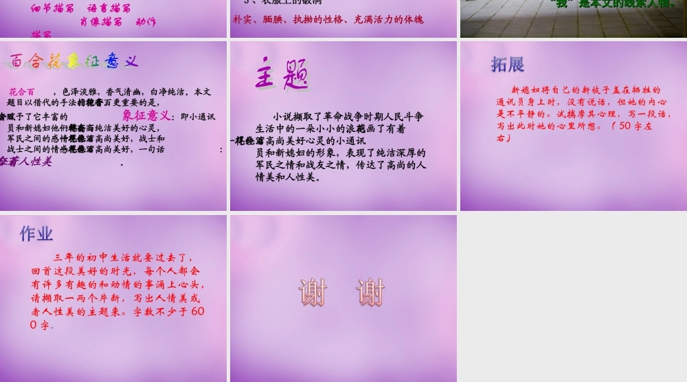 九年级语文下册 第四单元 15 百合花课件 语文版 课件