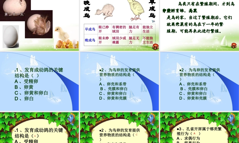 《鸟的生殖和发育》参考课件1