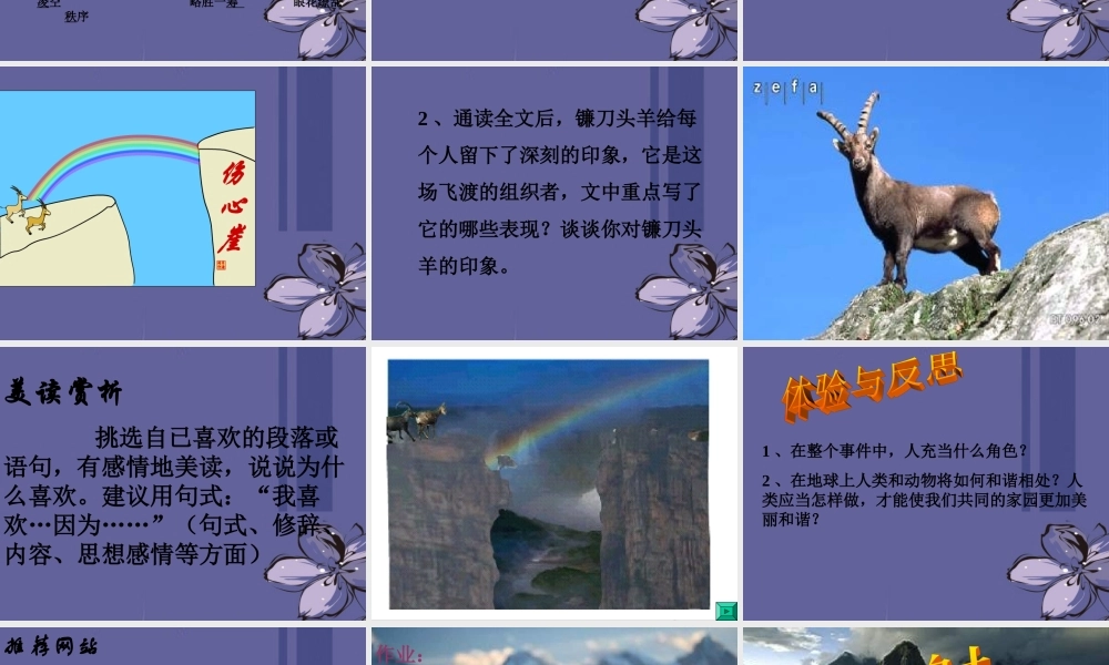 中学七年级语文下册(斑羚飞渡)课件 新人教版 课件