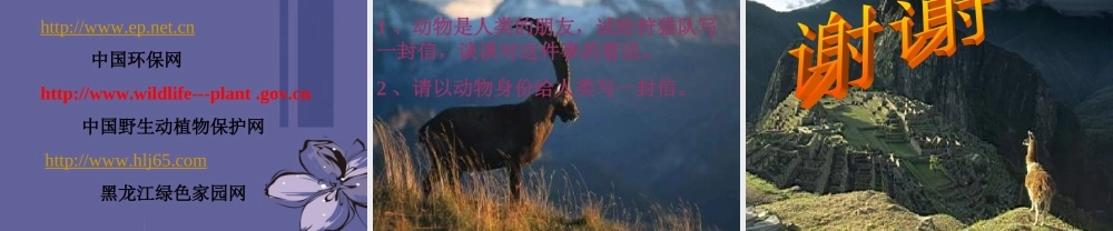 中学七年级语文下册(斑羚飞渡)课件 新人教版 课件