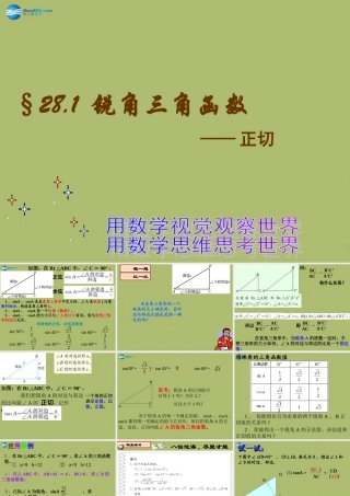 九年级数学下册 281 锐角三角函数课件8 新人教版 课件