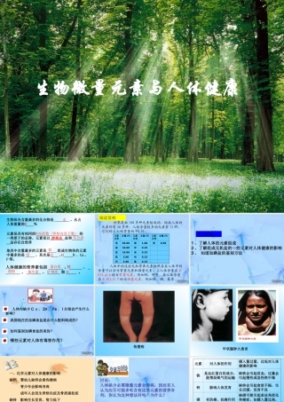 广东版初三化学生物微量元素与人体健康 课件