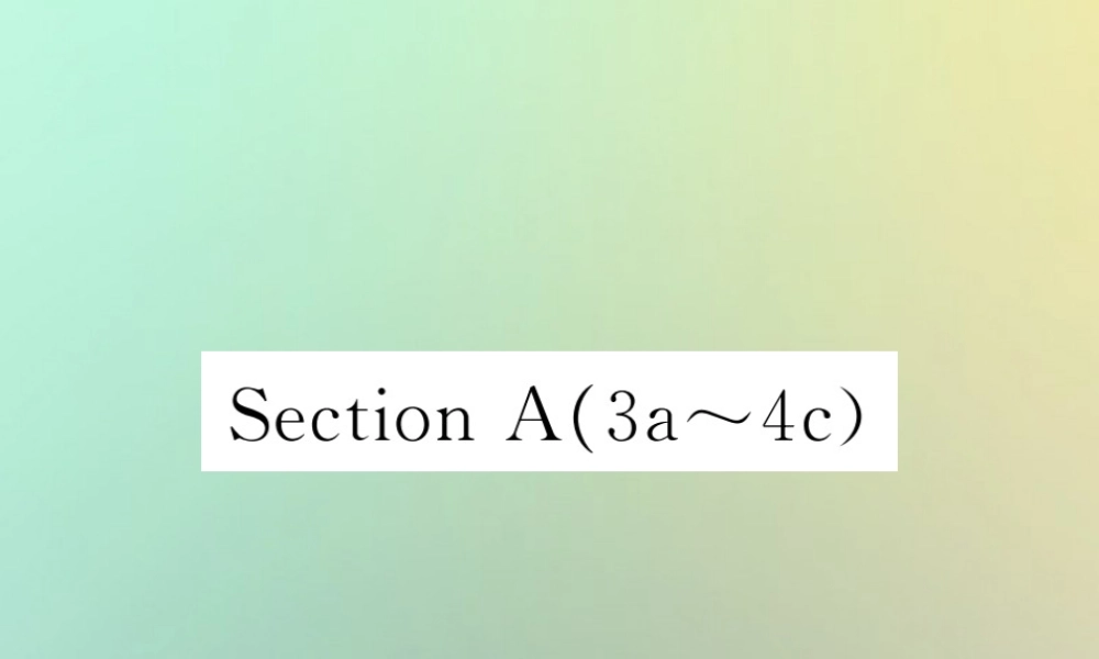 九年级英语全册 Unit 7 Teenagers should be allowed to choose their own clothes Section A(3a 4c)课时检测课件 (新版)人教新目标版 课件
