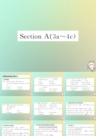 九年级英语全册 Unit 7 Teenagers should be allowed to choose their own clothes Section A(3a 4c)课时检测课件 (新版)人教新目标版 课件
