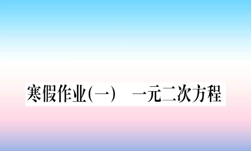 九年级数学下册 寒假作业(一)一元一次方程课堂导练课件(含中考真题)(新版)新人教版 课件
