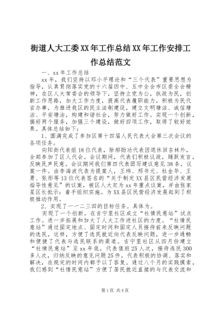 街道人大工委XX年工作总结XX年工作安排工作总结范文_1