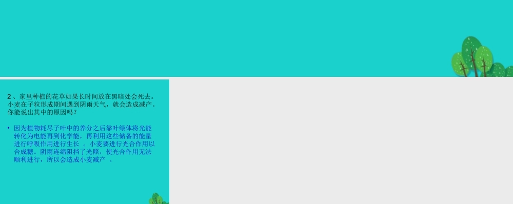 七年级生物上册 第三单元 第四章 第1节 植物的光合作用 P55讨论答案课件 (新版)苏科版 课件