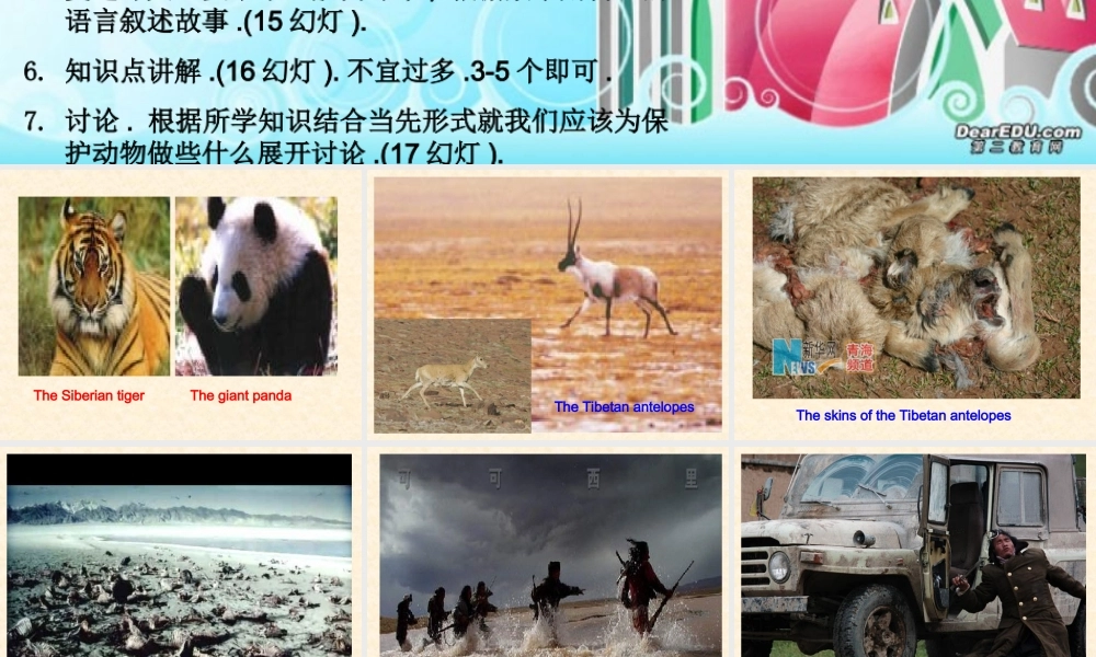 外研英语必修5　Unit6 Saving the Antelopes 课件