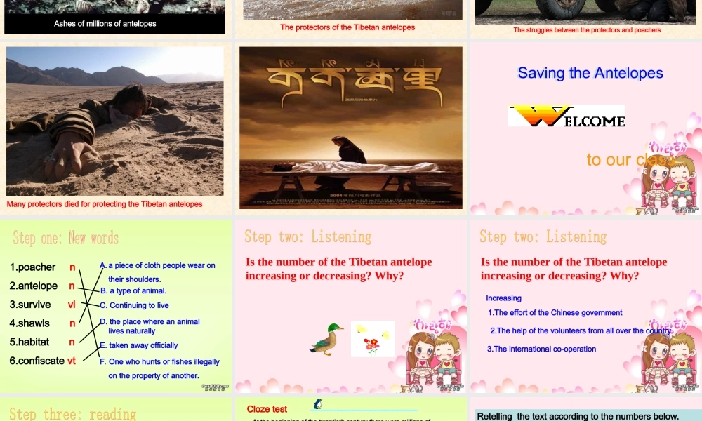 外研英语必修5　Unit6 Saving the Antelopes 课件