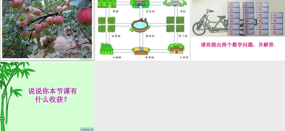 二年级数学走进乡村课件