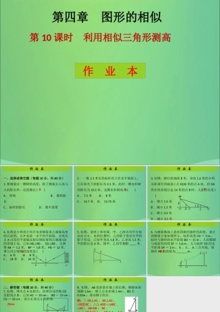 九年级数学上册 第4章 图形的相似 第10课时 利用相似三角形测高(课后作业)习题课件 (新版)北师大版 课件