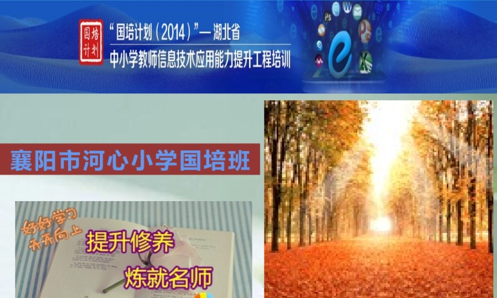 襄阳市河心小学--国培阶段总结