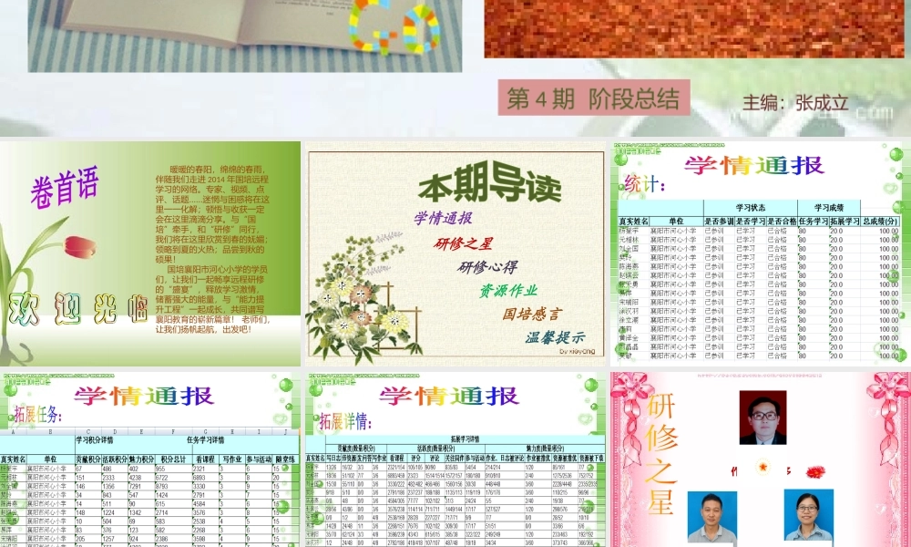 襄阳市河心小学--国培阶段总结