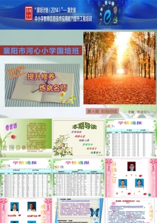 襄阳市河心小学--国培阶段总结