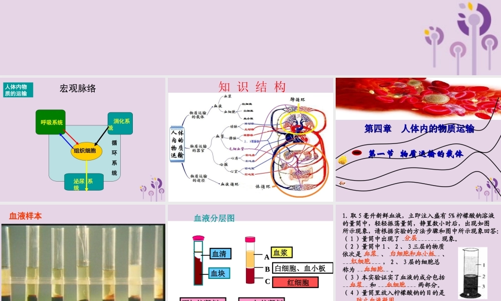 七年级生物上册 4.4.1流动的组织──血液课件 鲁科版五四制 课件