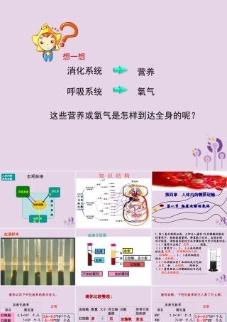 七年级生物上册 4.4.1流动的组织──血液课件 鲁科版五四制 课件