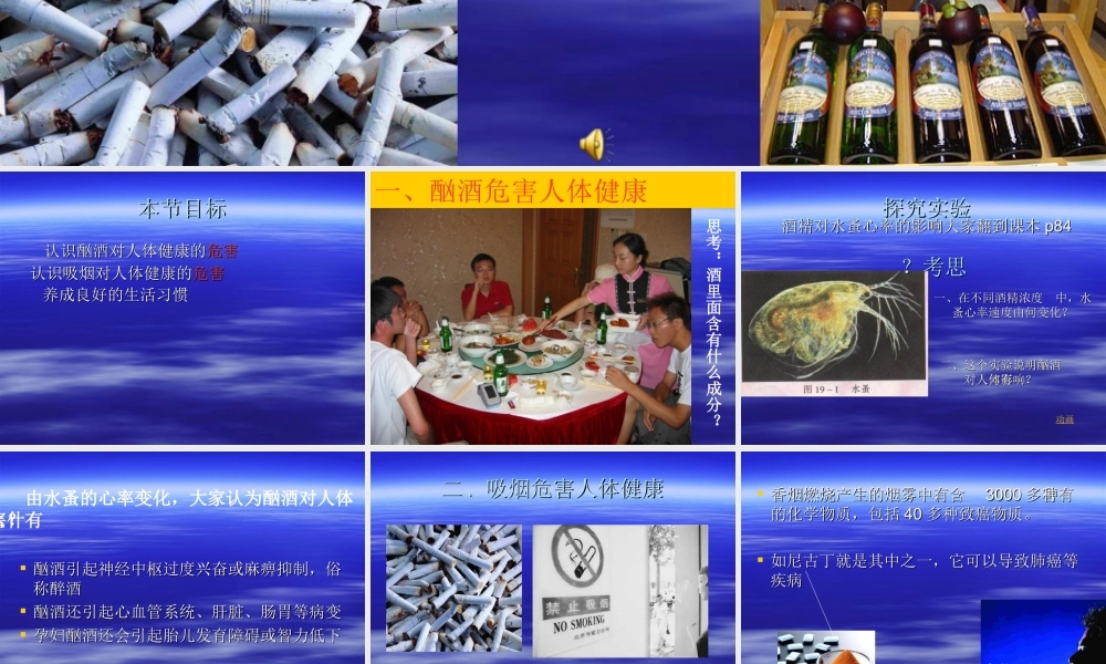 八年级生物上册第19章第一节 远离烟酒 课件苏教版 课件