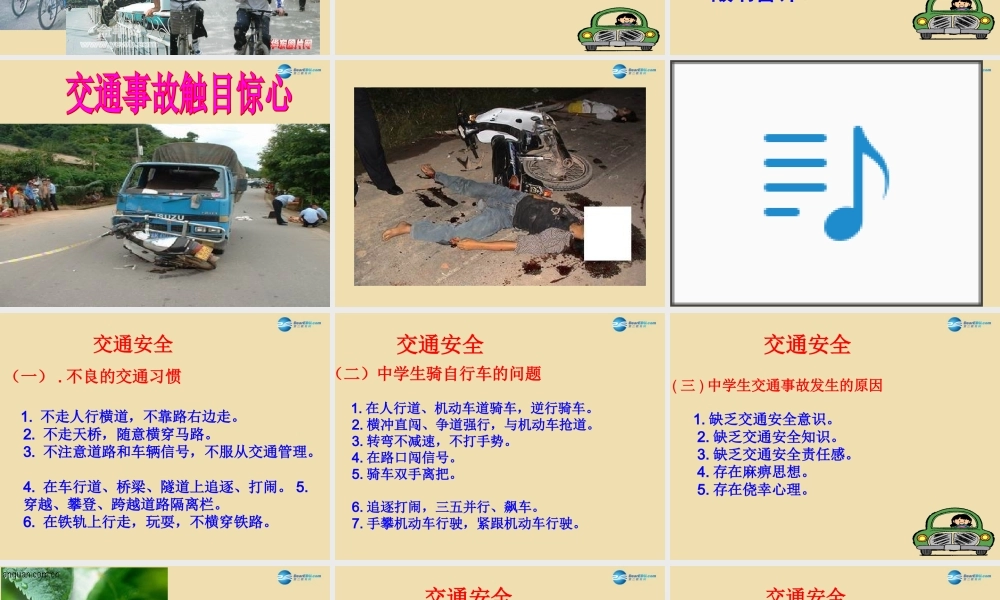 中学安全教育主题班会(关注安全 关爱生命)课件