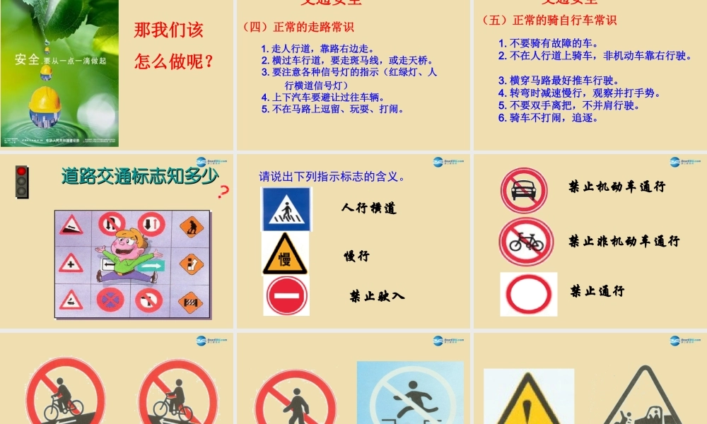 中学安全教育主题班会(关注安全 关爱生命)课件