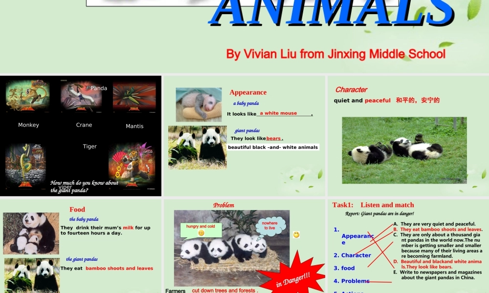 八年级英语(Unit4 Wild Animals)课件  课件