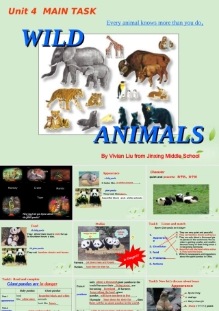 八年级英语(Unit4 Wild Animals)课件  课件