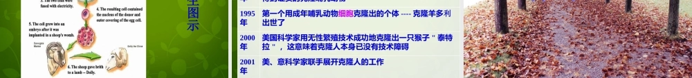 八年级语文上册 第四单元 17 奇妙的克隆课件 新人教版 课件