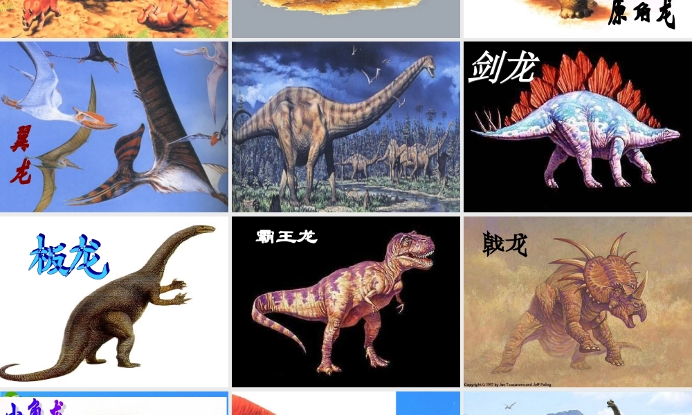 七年级语文下册 (阿西莫夫短文两篇)课件(二) 鲁教版 课件