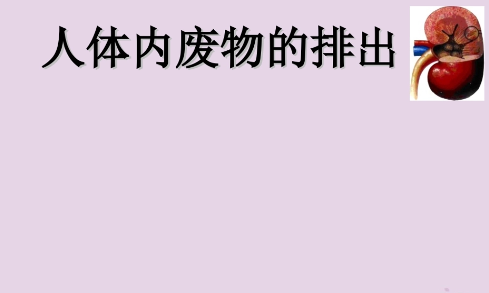 七年级生物上册 4.5.1尿的形成和排出课件 鲁科版五四制 七年级生物上册 4.5.1尿的形成和排出课件+教学素材 鲁科版五四制-2