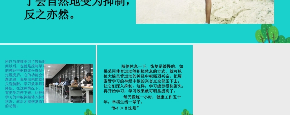 八年级生物上册 第四单元 第三章 第三节 走向成熟 体育锻炼对学习的好处课件 (新版)济南版 课件