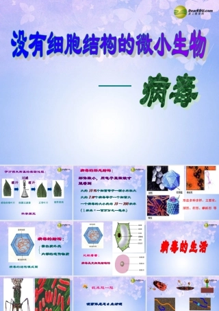 中学七年级生物上册 2.3.1 病毒课件 济南版 课件